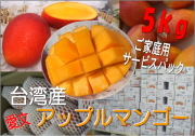 ���ѻ����åץ�ޥ󥴡�����礪���ʤ�������