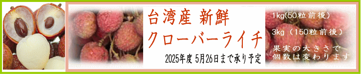 2025クローバーライチ承り中