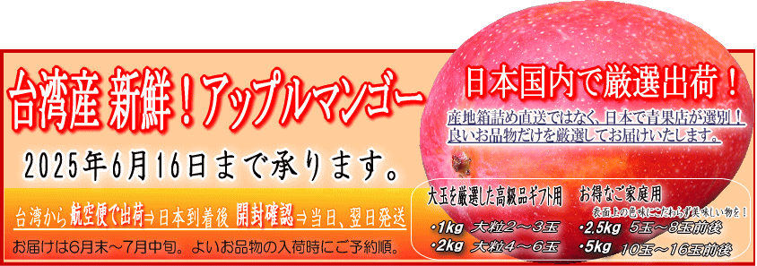 2025台湾マンゴー承り中！