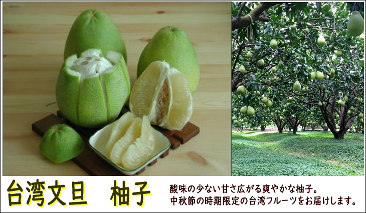 台湾文旦」～『台湾カフェ』が台湾産果物をお届けします～