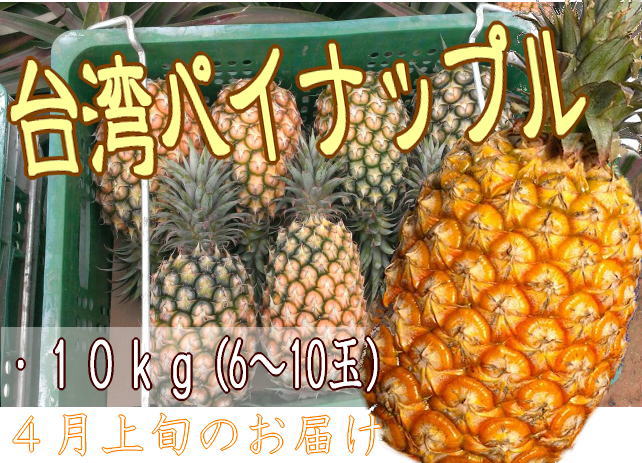 台湾パイナップル10kg