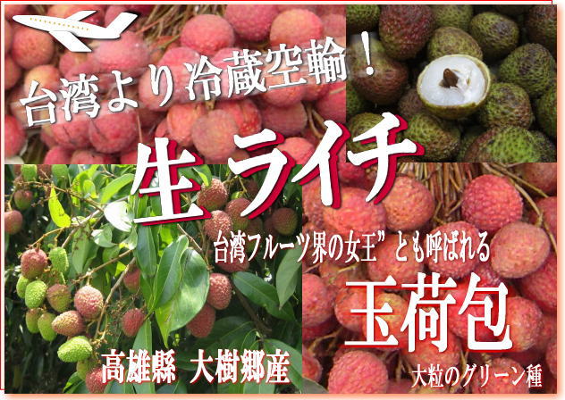 日本代理店正規品 今年初売り 3kg 台湾ライチ「玉荷包」 台湾荔枝冷蔵