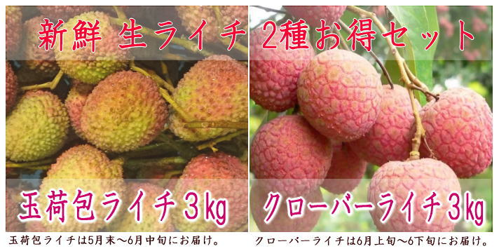 玉荷包ライチ1ｋｇとクローバーライチ３ｋｇのお得な2種類セット